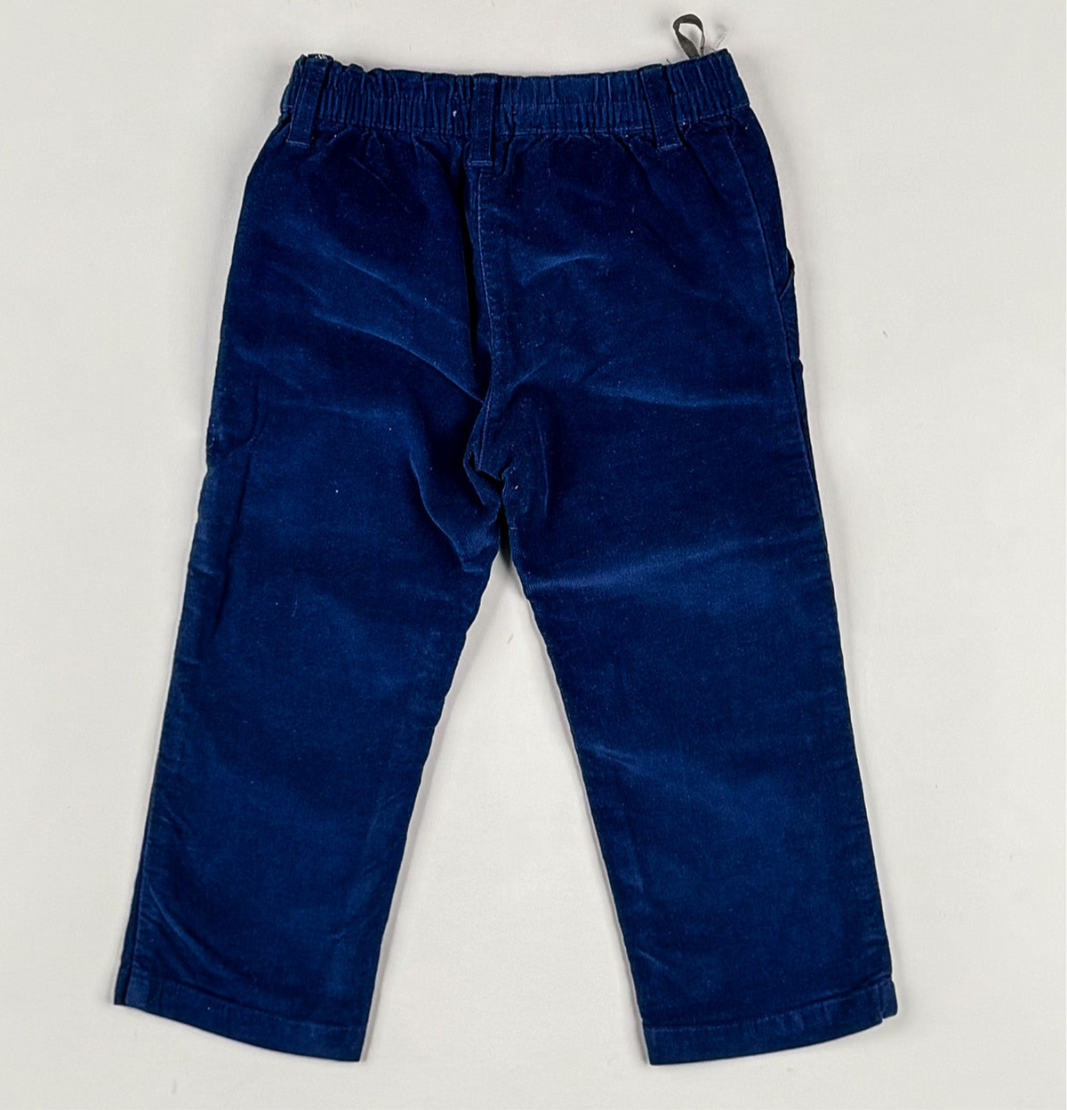 Corduroy Pants in blue