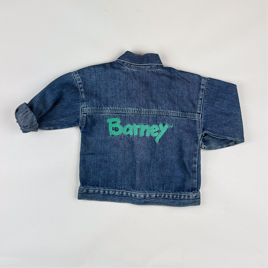 Vintage Barney Jacket