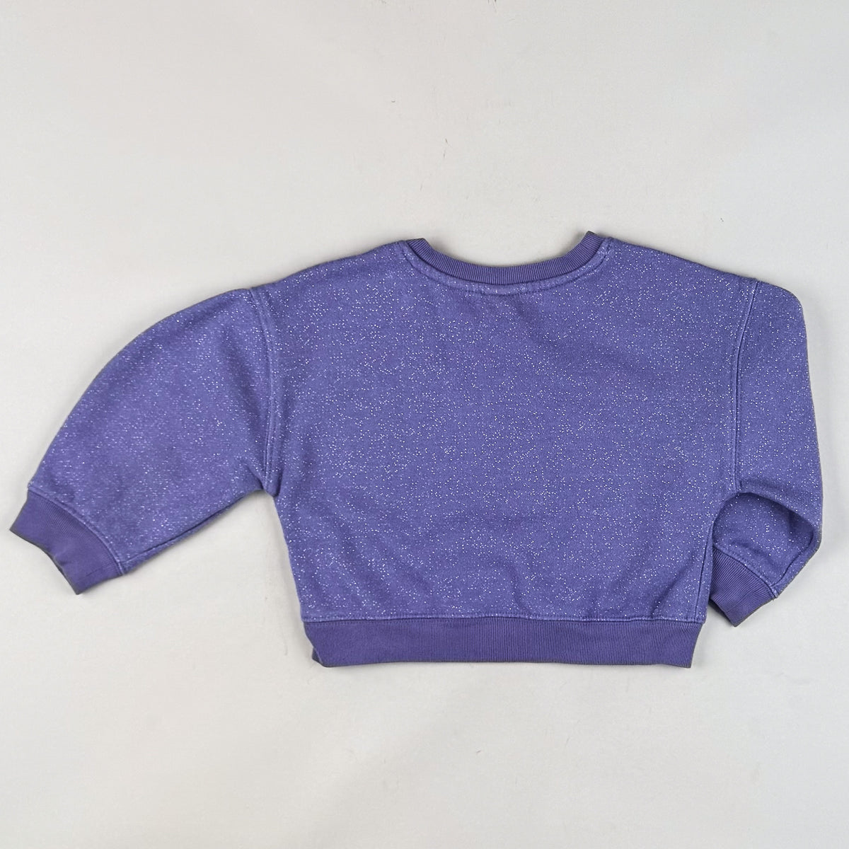 Disney Sweatshirt