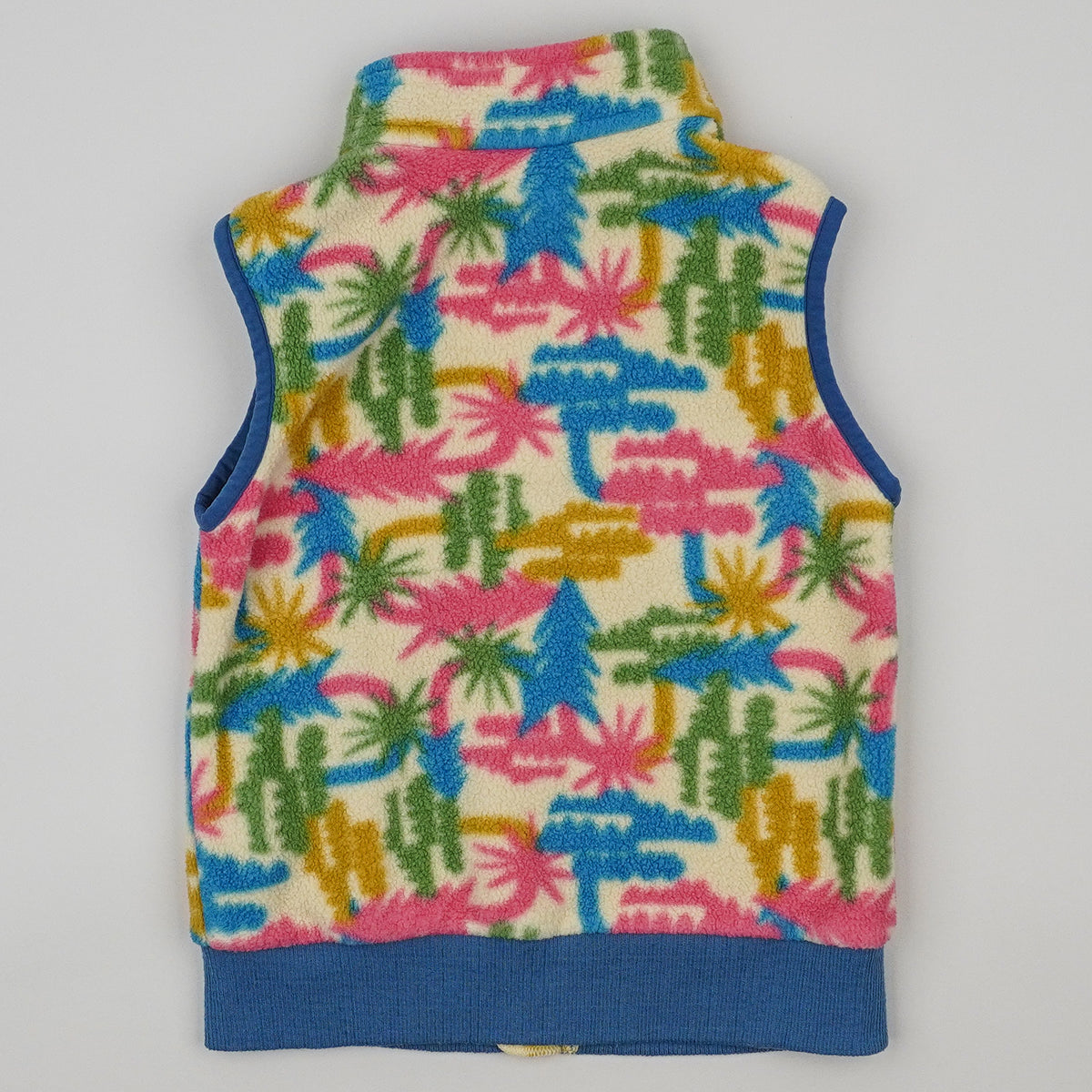Patagonia Fleece Vest