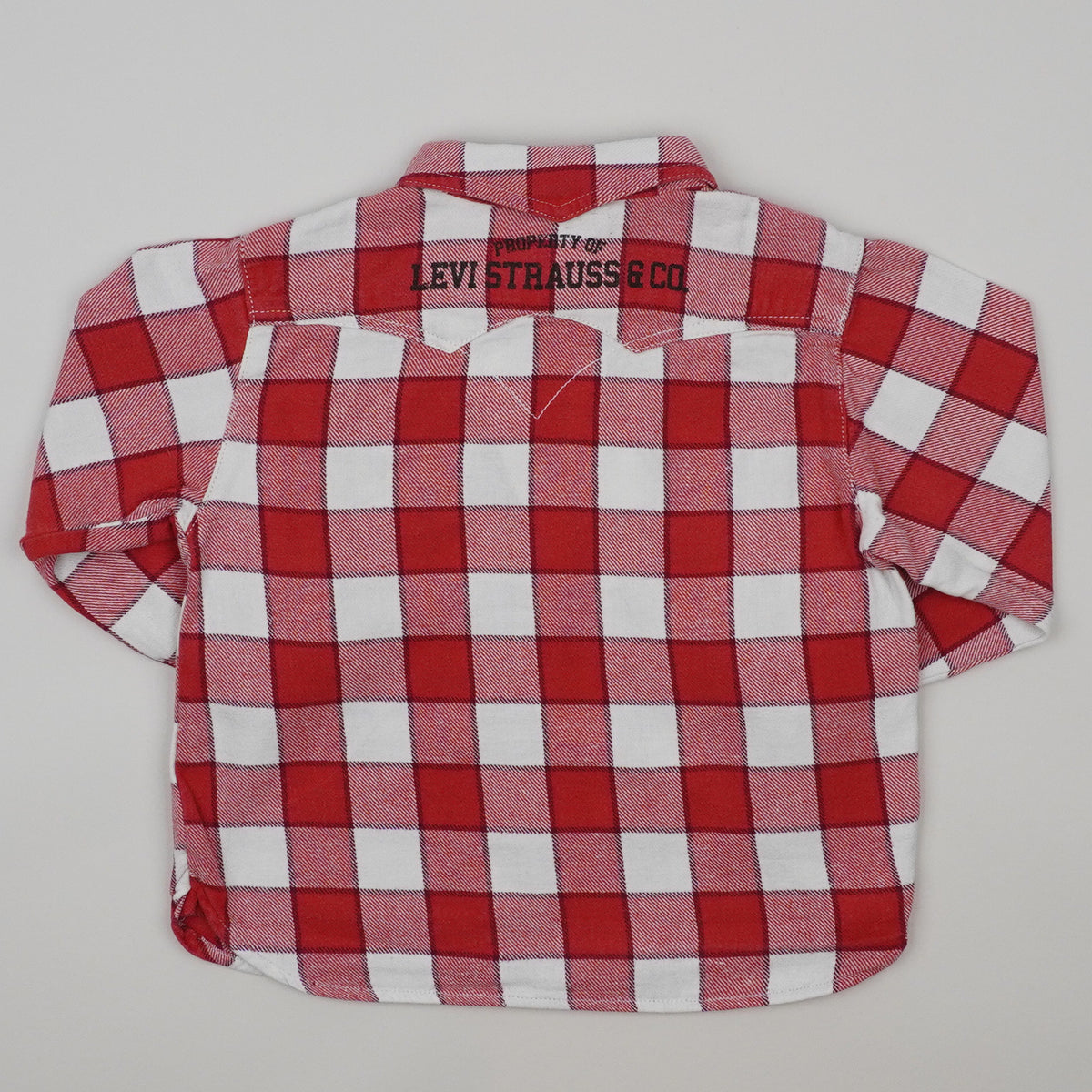 Levi's Flannel Shirt