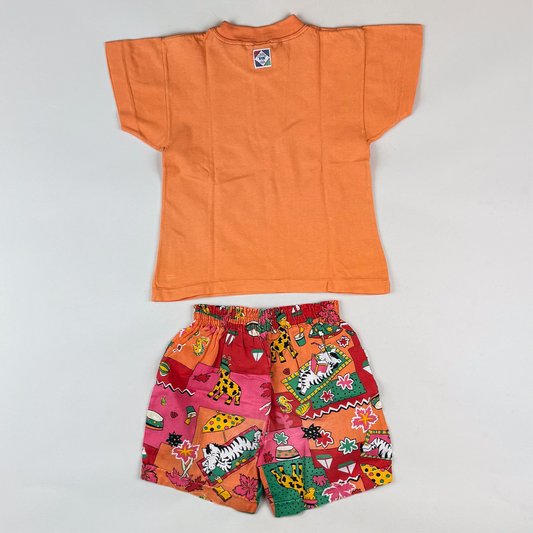 Vintage Colorful Safari Set