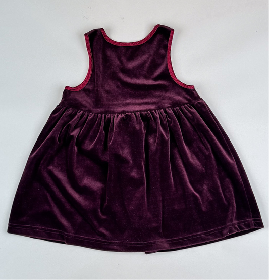 Vintage Velvet Dress