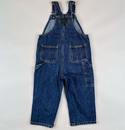 GAP Overalls