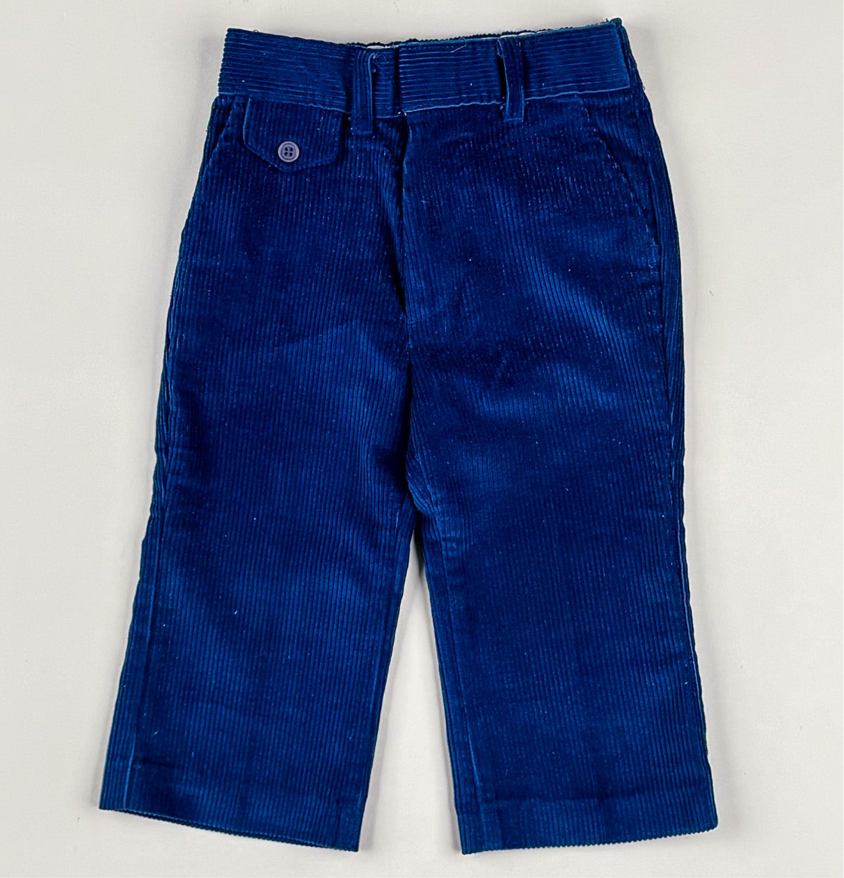 Corduroy Pants in blue