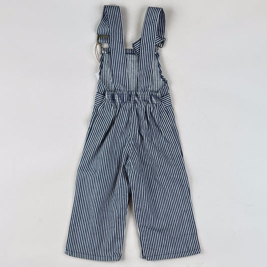 Striped Vintage Overalls
