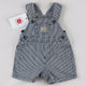 Striped Carhartt Shortalls