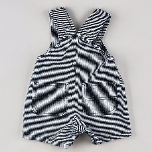 Striped Carhartt Shortalls