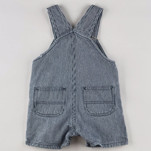 Striped Carhartt Shortalls