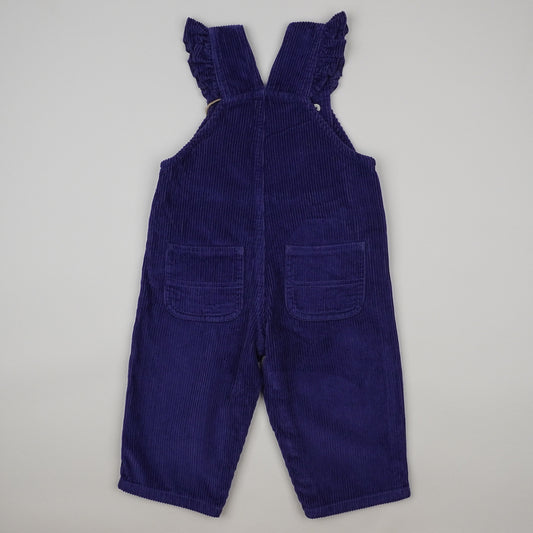 NWOT Carhartt Corduroy Overalls