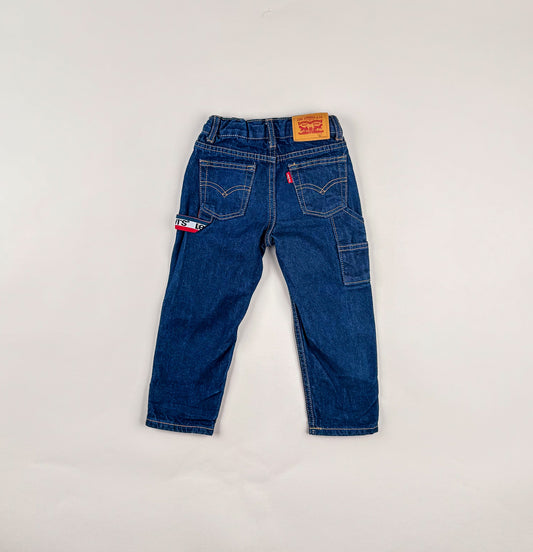 Carpenter Jeans in blue