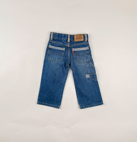 Carpenter Jeans in blue