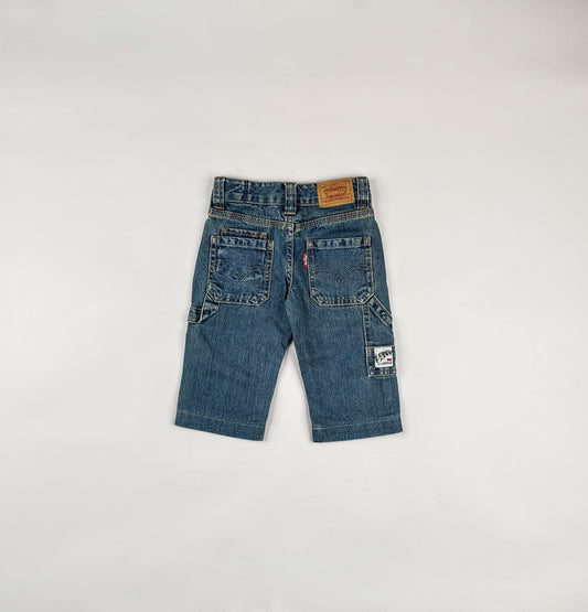 Carpenter Jeans in blue