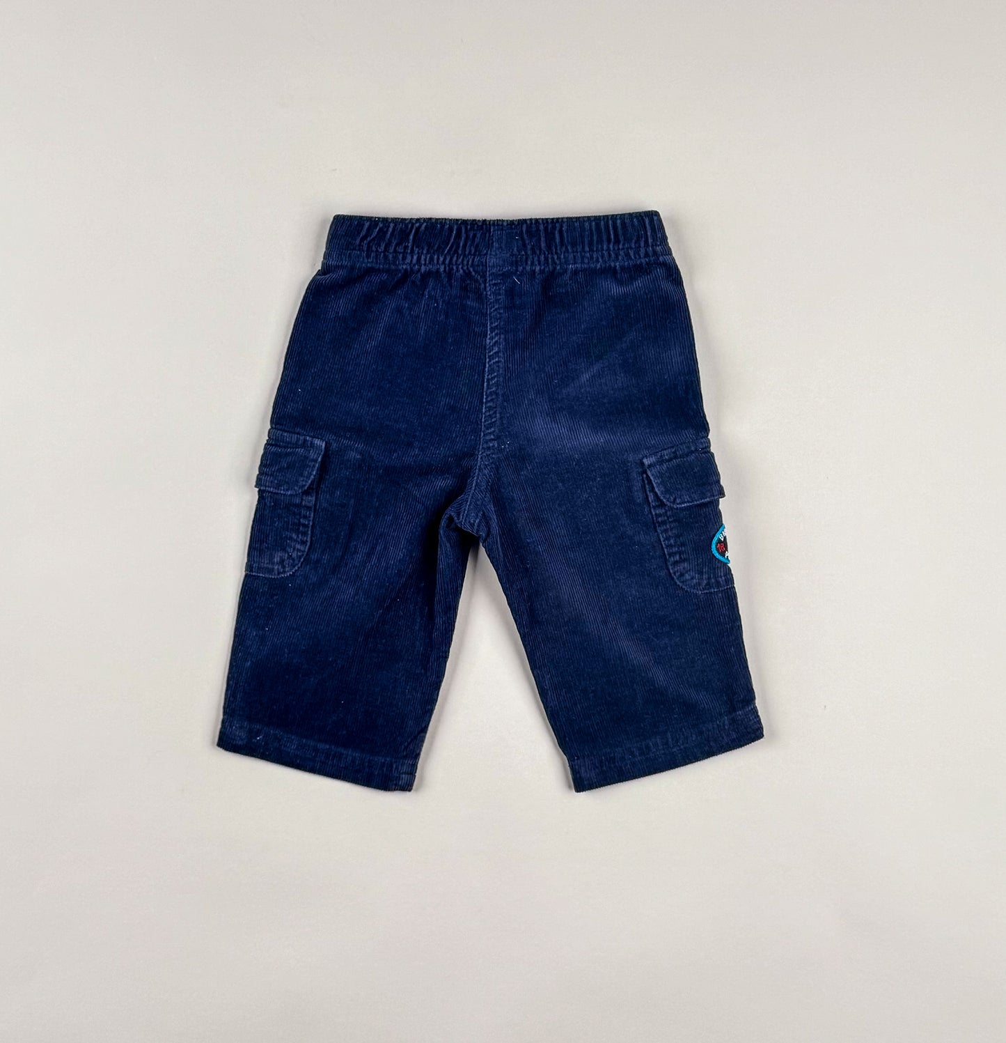 Corduroy Pants in blue