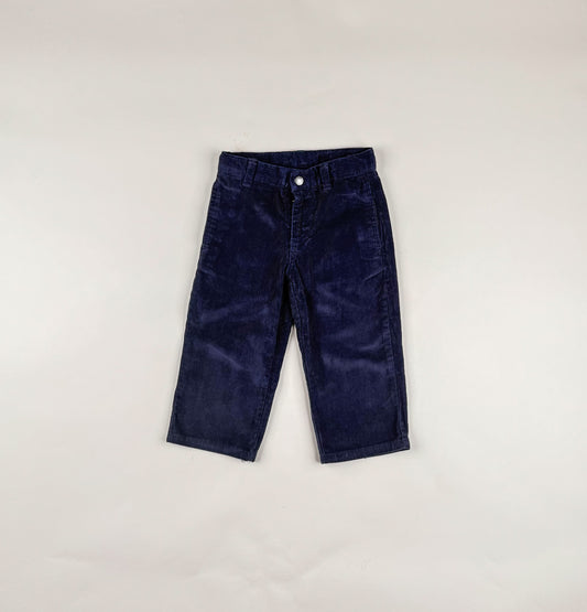 Corduroy Pants in blue