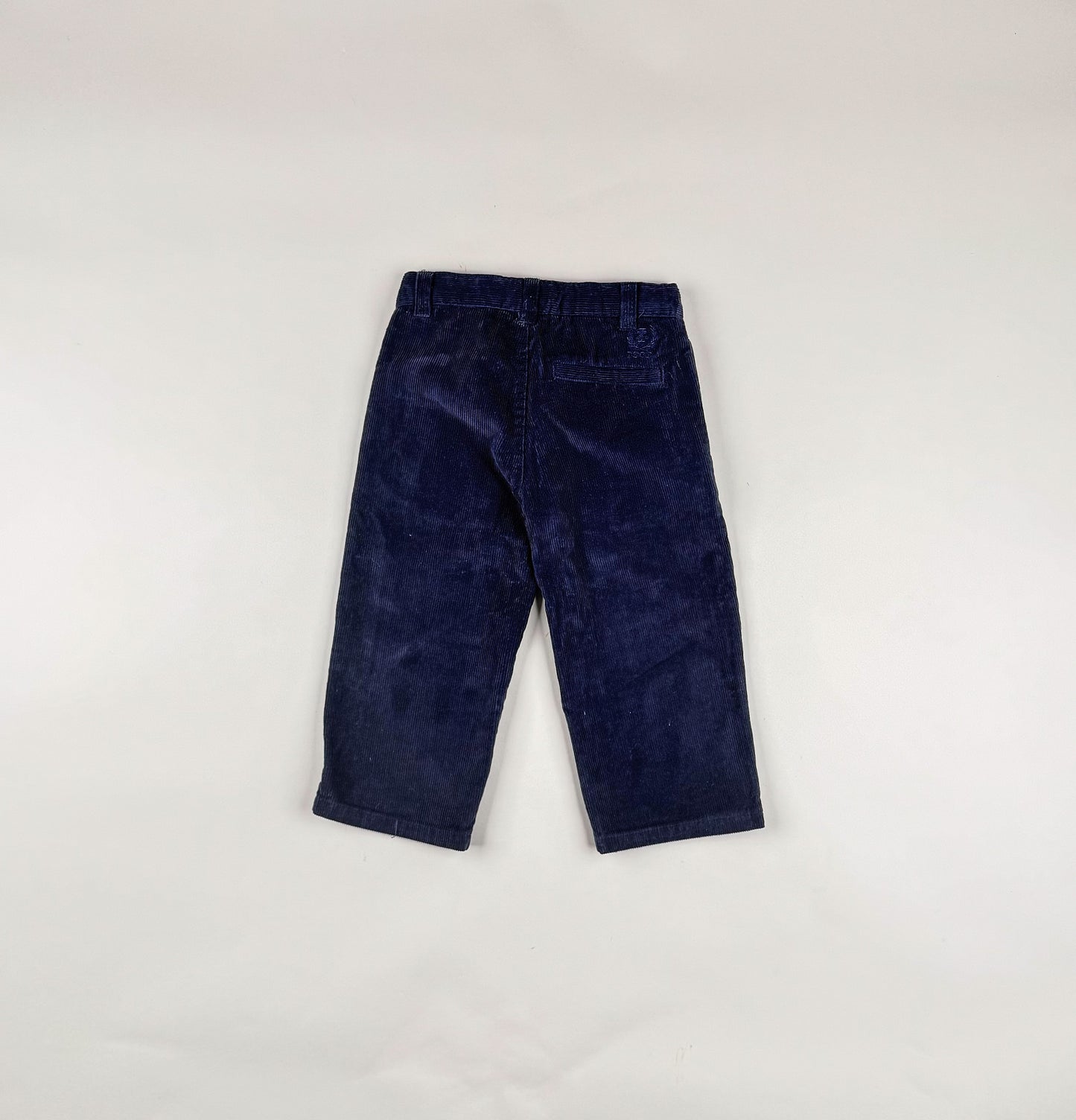 Corduroy Pants in blue