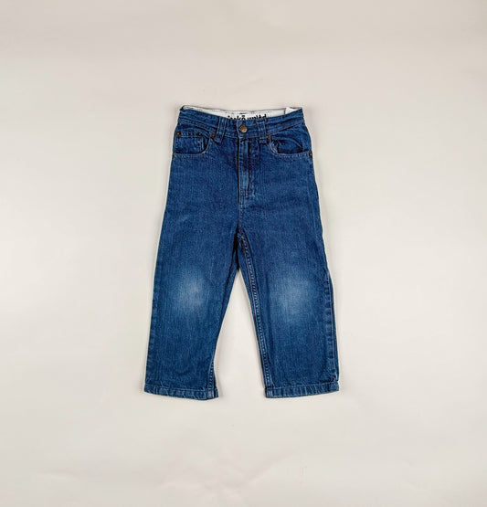 Carpenter Jeans in blue