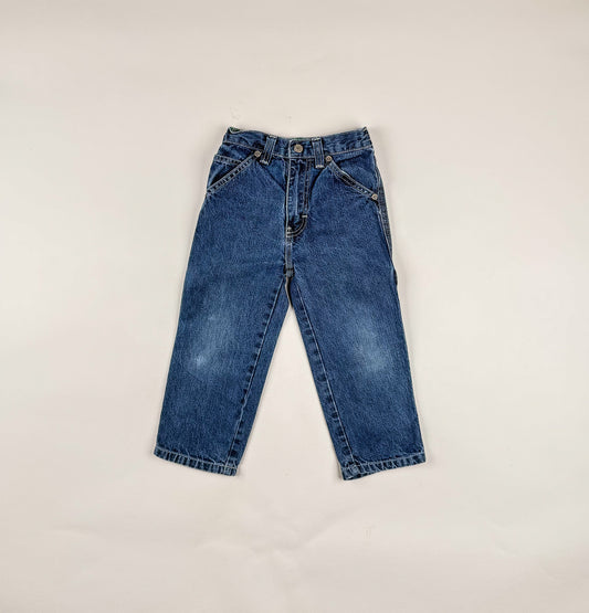 Carpenter Jeans in blue