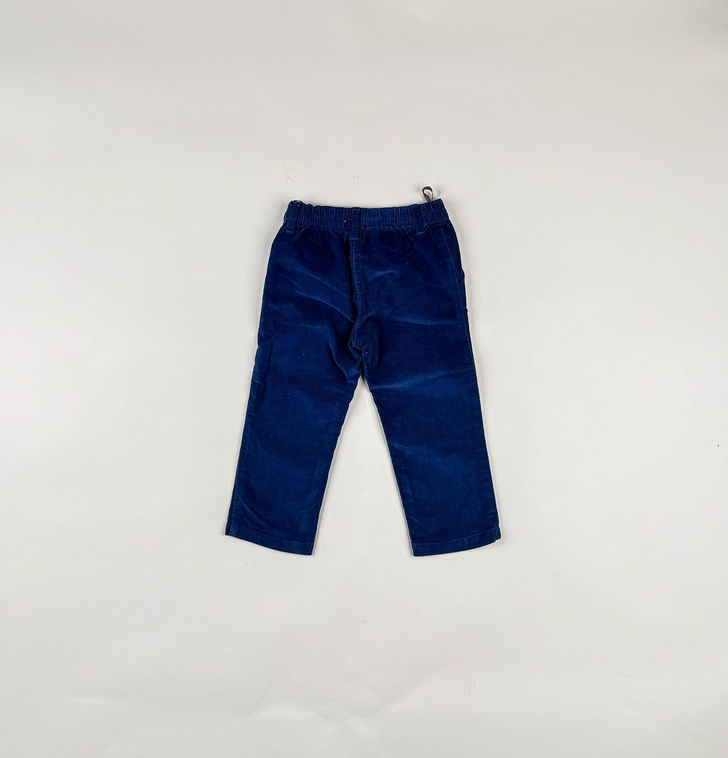 Corduroy Pants in blue