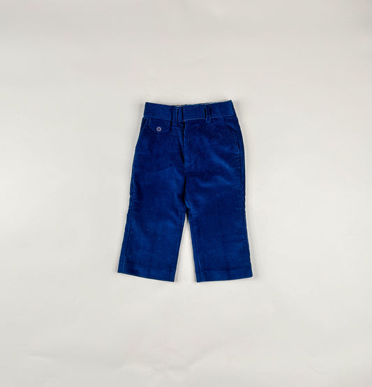 Corduroy Pants in blue