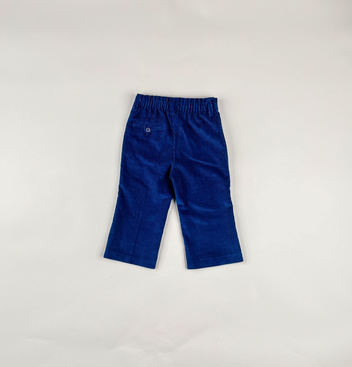 Corduroy Pants in blue