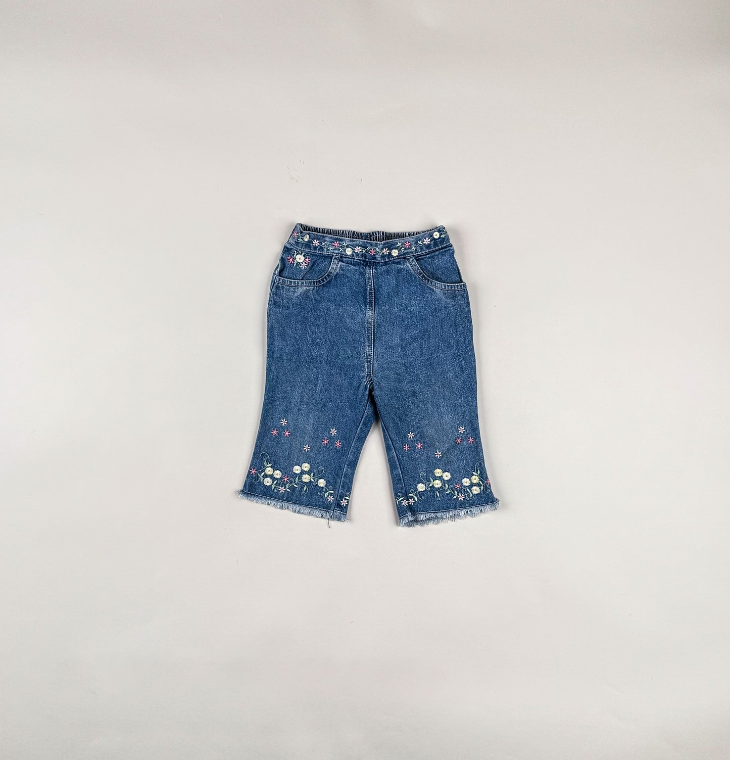 Pantss With Embroidery in blue and multi