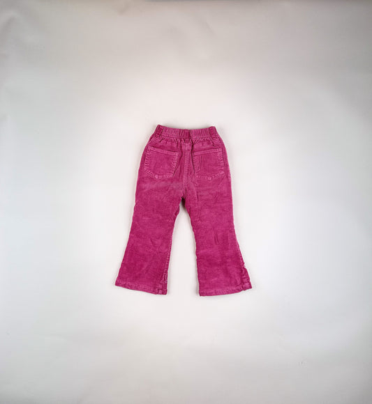 Lined Corduroy Pants