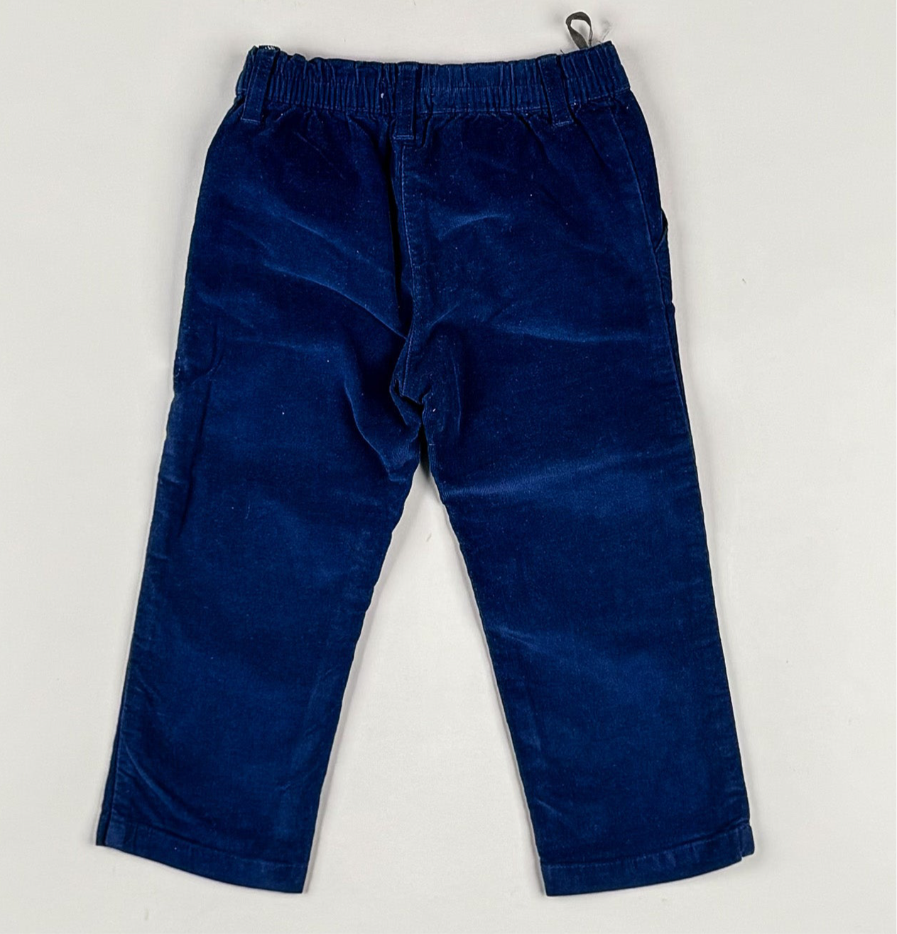 Corduroy Pants in blue