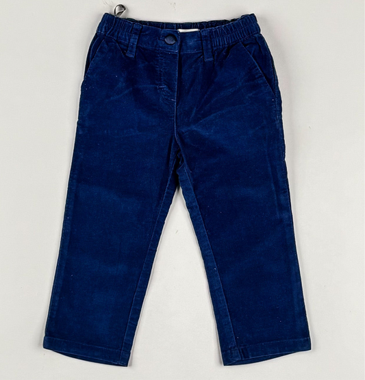 Corduroy Pants in blue
