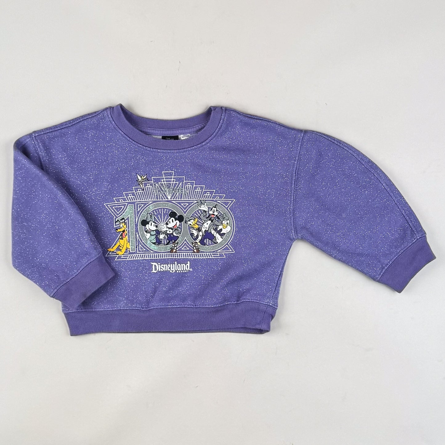 Disney Sweatshirt