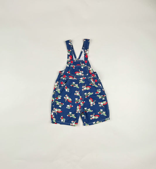 Shortalls in blue and multi