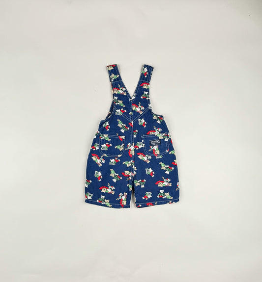 Shortalls in blue and multi