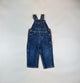 GAP Overalls