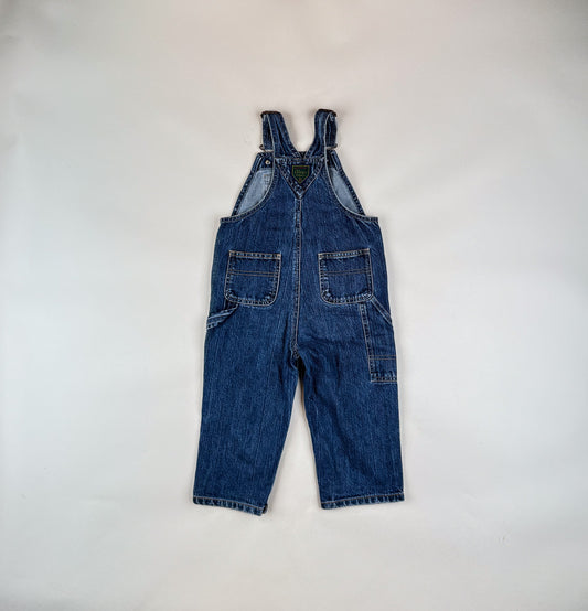 GAP Overalls