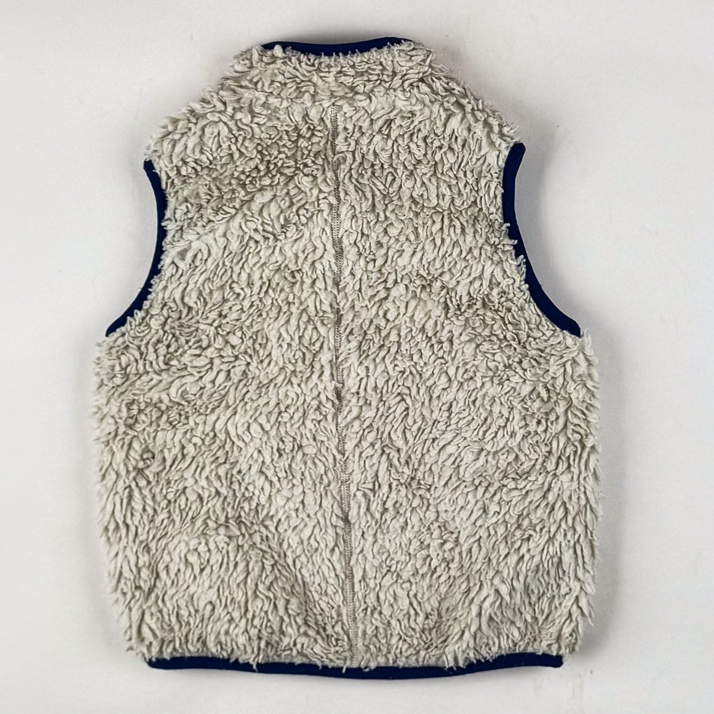 Patagonia Retro Sherpa Vest