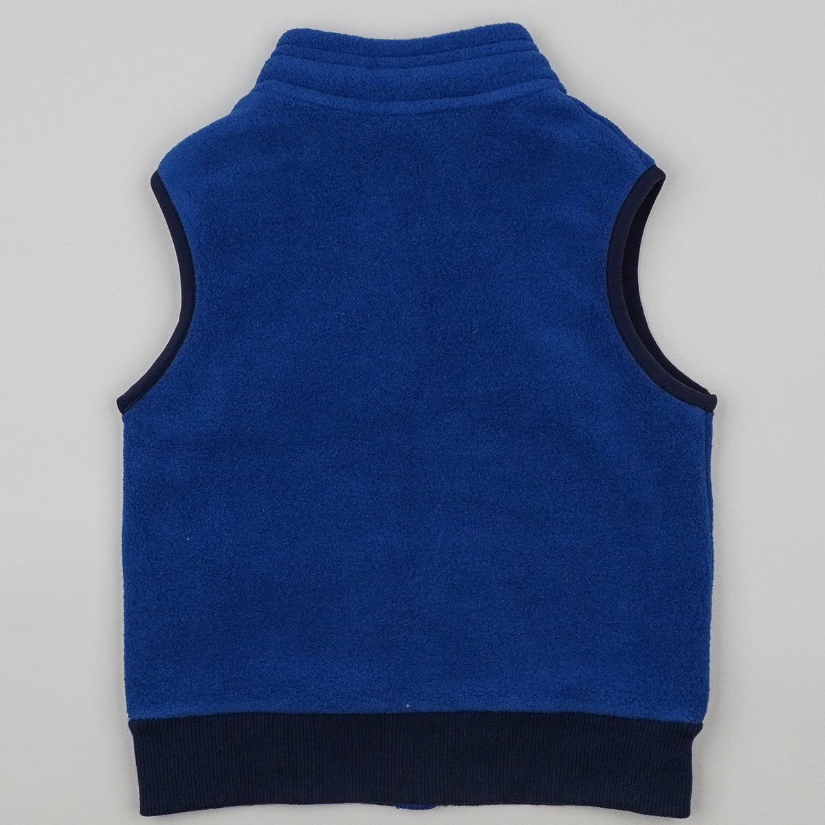 Patagonia Fleece Vest