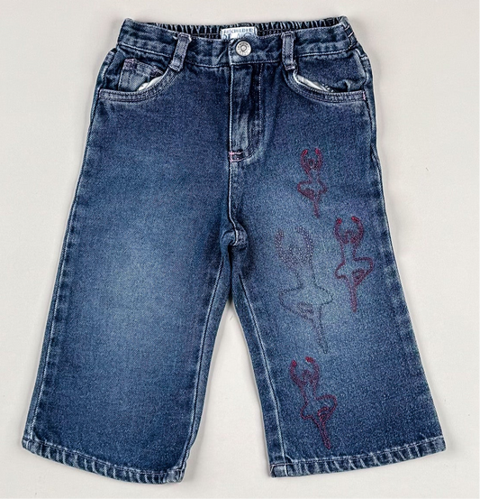 Pantss With Embroidery in blue and pink