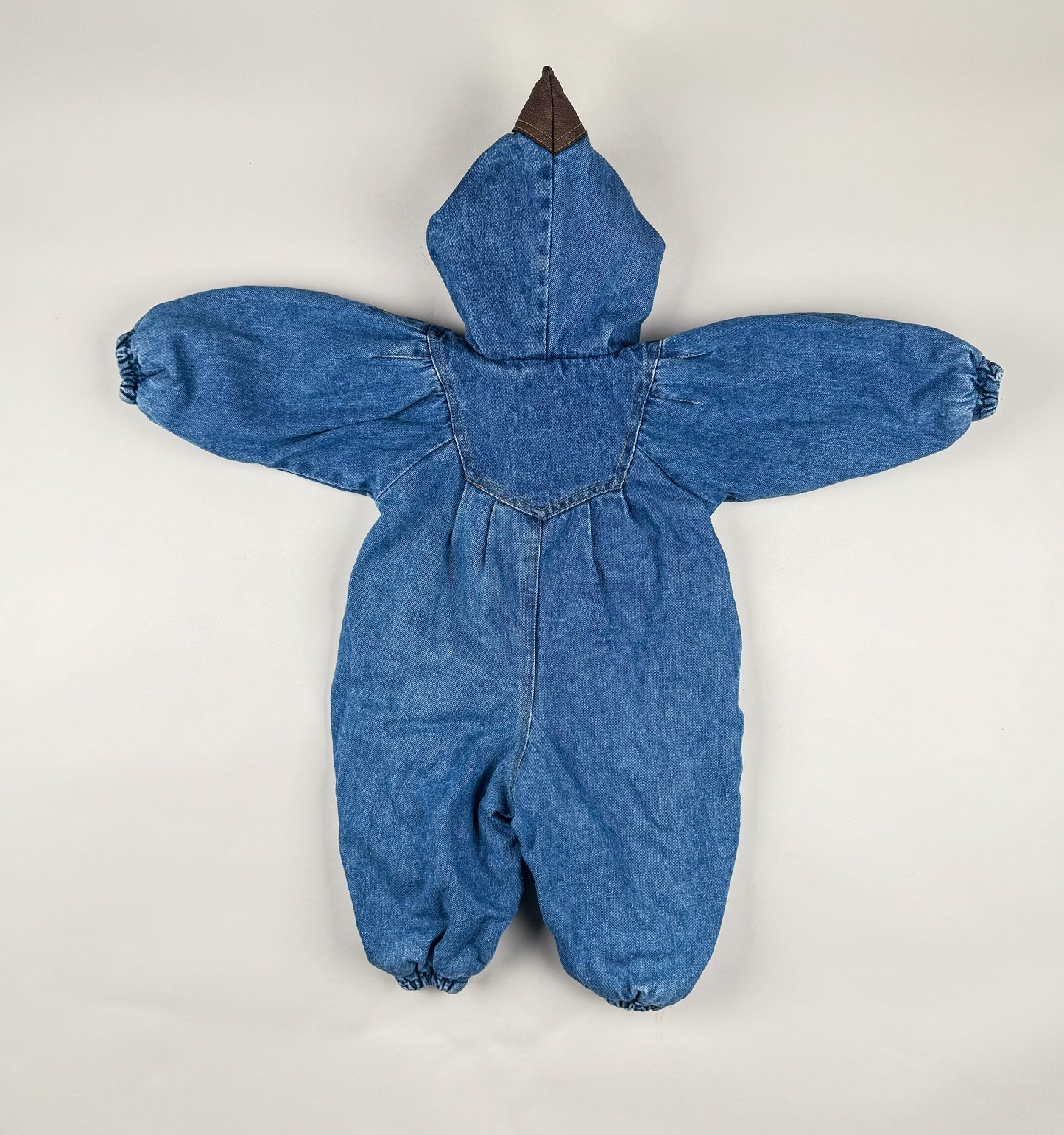 Snowsuit in blue