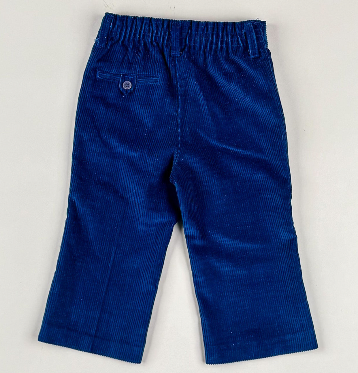 Corduroy Pants in blue