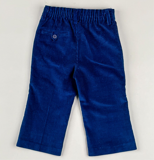 Corduroy Pants in blue
