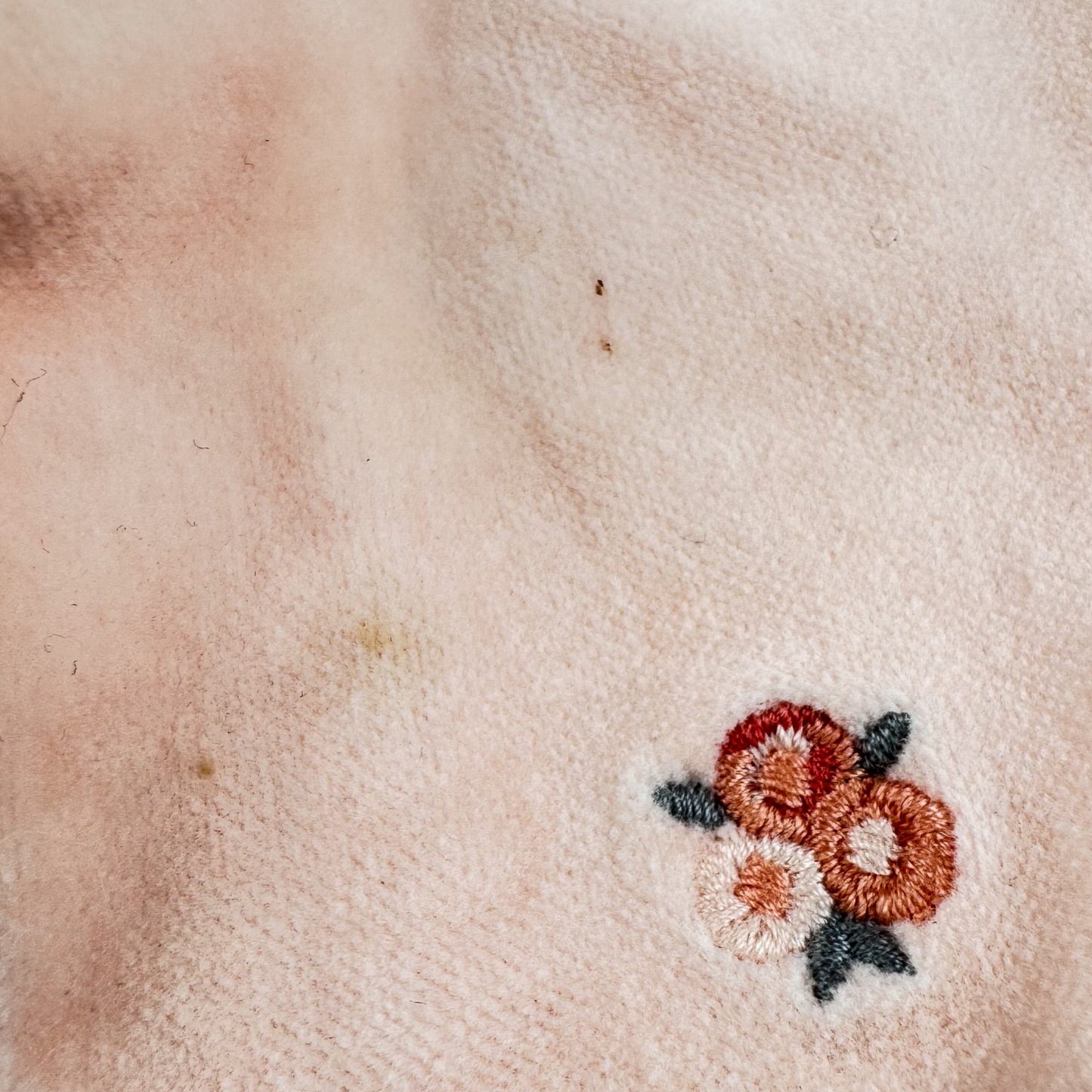 Velvet Capri Pants with Embroidery
