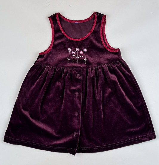 Vintage Velvet Dress