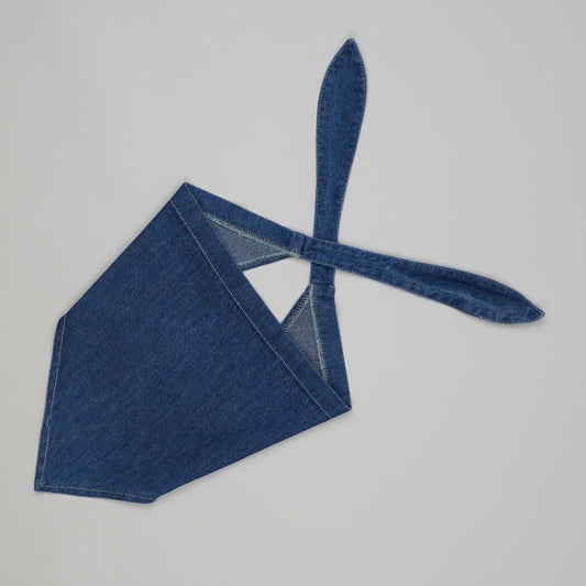 Vintage Scarf/Hairband