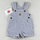 Carhartt Stripe Shortalls